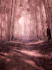 USA-Colorado Infrared of road through Kebler Pass Art Print